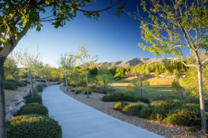 Stonewater Park at Southern Highlands - Las Vegas